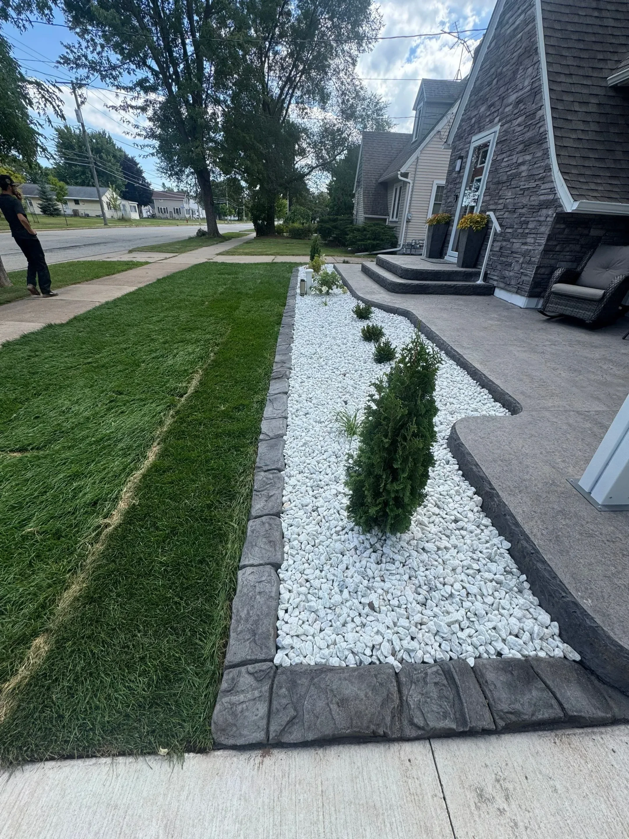 Tree Rings & Garden Borders