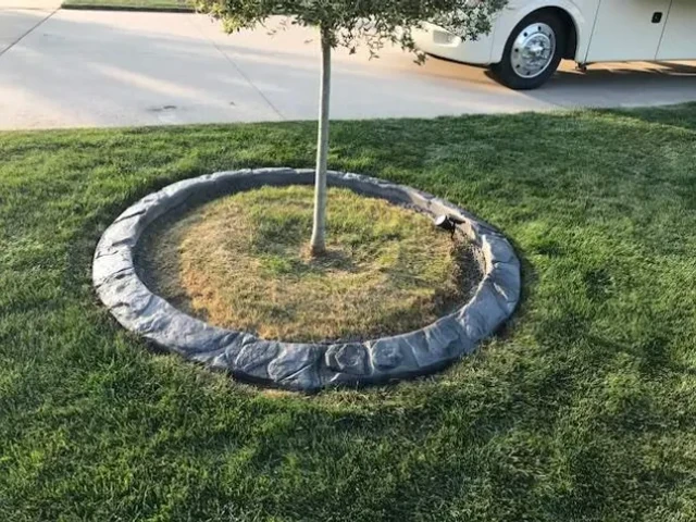 Tree Rings & Garden Borders